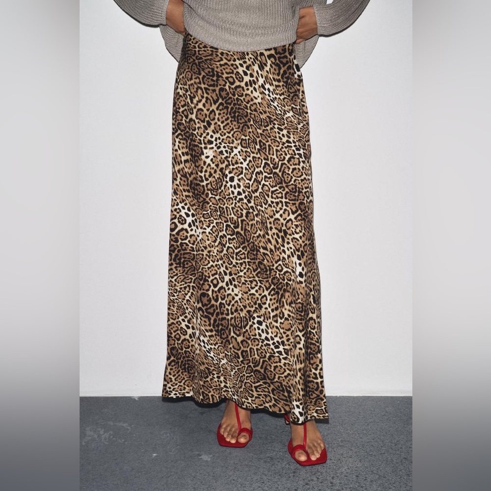 Zara Leopard Print Maxi Skirt